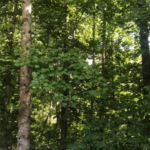 Meet your Posher, Deanna